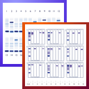 gel-assays-128.png